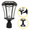 Victorian 18" 11 LED 3 Mounting Options Solar Black Clear Glass