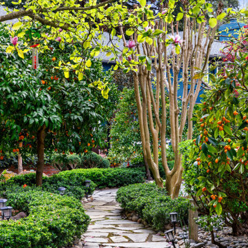 From Overwhelmed to Peace of Mind: A Saratoga Landscape Transformation