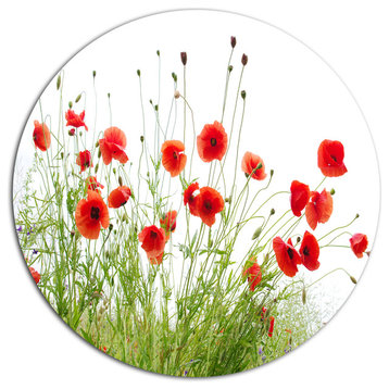 Poppies On White Background, Modern Floral Disc Metal Artwork, 23"