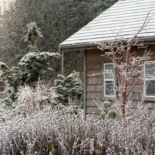 WINTER SCAPING