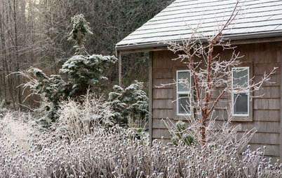 Look Beyond Plants for a Wonderful Winter Garden