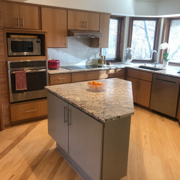 Mid Century Modern Kitchen