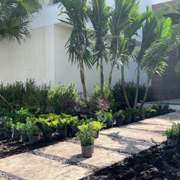 LANDSCAPING BEAUTY process