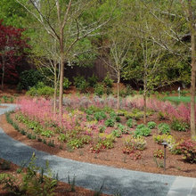 woodland