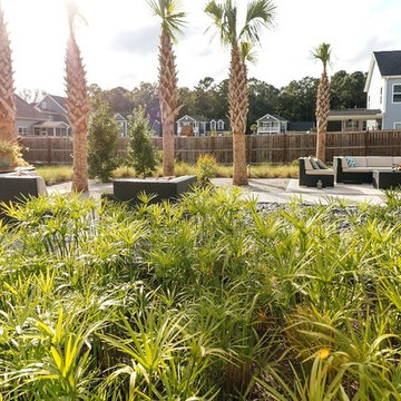 Backyard Renovation-Johns Island