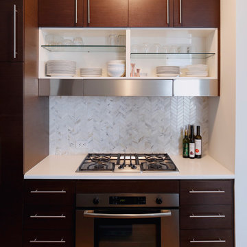Fort Greene Condo