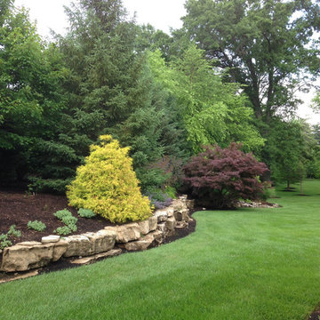 Lush Landscapes