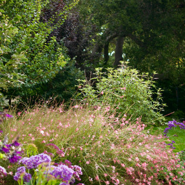 Atherton Pollinator Haven