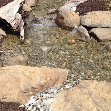 Pond Renovation