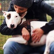 Demi Dema's photo