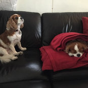 Jessica Berg's photo