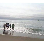 Foto di Lin Brownell