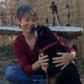 Pamela Boyd's photo