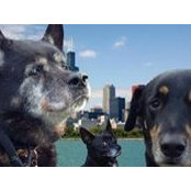 Jill Summers's photo