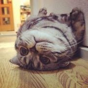 Emma Ma's photo