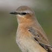 Karen J Rubinstein's photo