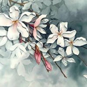 Eric St Hilaire-Smith's photo