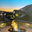 HL Design/turf and floral landscaping