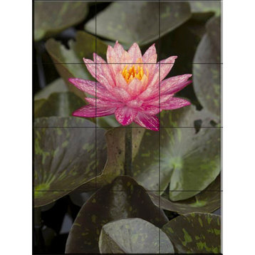 Tile Mural, Water Lily by Sean Allen