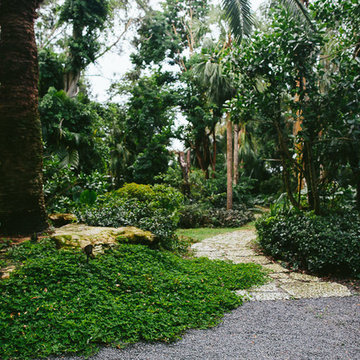 South Florida Rainforest
