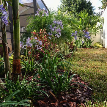 Tina's Tropical Traditional Paradise Front & Back Yard Makeover
