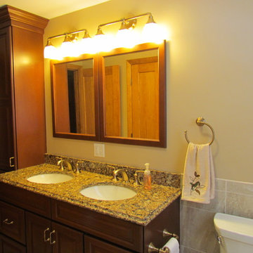 Transitional Brazilia Bathroom Remodel with Brushed Bronze Plumbing Fixtures