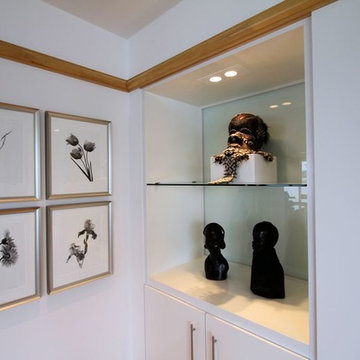 White Lacquer Art Display Cabinet with Sandblasted Glass Back Panel and Tempered