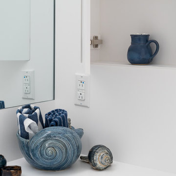 Blue and White Bathroom - Philadelphia PA