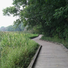 board walks