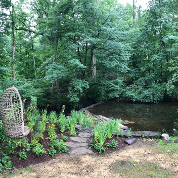 Swimming Pond Restoration & Native Bog Garden in White Plains, NY