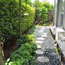 sideyard