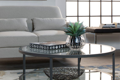 Inspiration for a contemporary living room remodel in Los Angeles