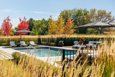 Design ideas for a modern swimming pool in Minneapolis.