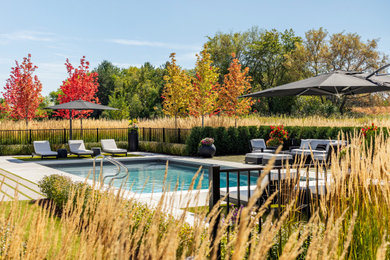 Example of a minimalist pool design in Minneapolis