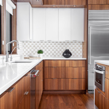 Mid-century Modern kitchen