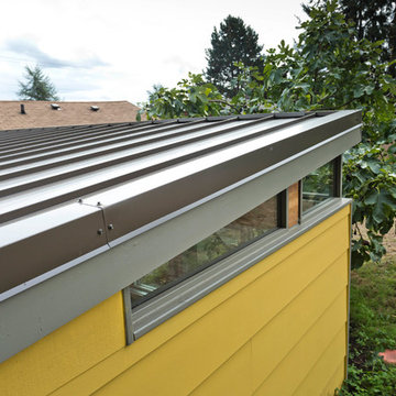 Modern-Shed man cave and home office