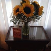 Barbara Keneally's photo