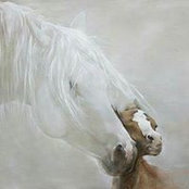 Andrea Willis's photo