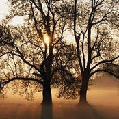 Foto von Terri Rivers