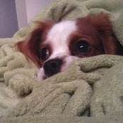 Jenny Allen's photo