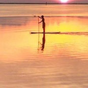 Amy Brown's photo