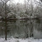 Lisa Weathersbee's photo