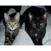 Tammy Morris's photo