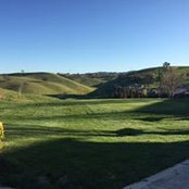 Sharman Cree's photo