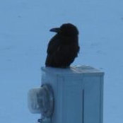 Patrick Brannon's photo
