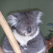 David Jenkins's photo