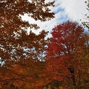 Nichole Geer-Diorio's photo