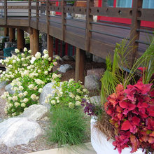 deck planting