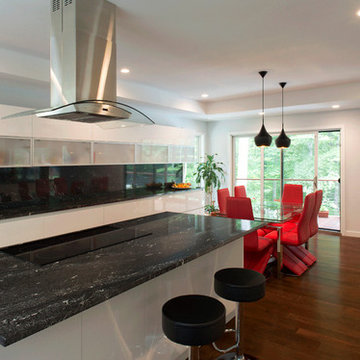 Annapolis Residence Renovation