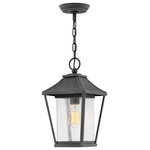 HInkley - Hinkley Palmer Medium Hanging Lantern, Museum Black - Palmer brings a dash of southern charm to a classic Americana lantern design with vintage rivets, sweeping roof and oversized loop ensuring a timeless aesthetic. Clear seedy glass and a Museum Black finish combine for a chic updated traditional style.